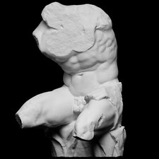 Statua Scultura Torso Belvedere Arte Classica Arredamento