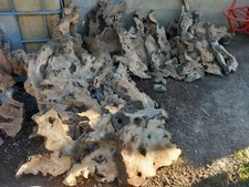 legno-wood-radica di ulivo, ideale x orologi, taglieri, tavolini ecc