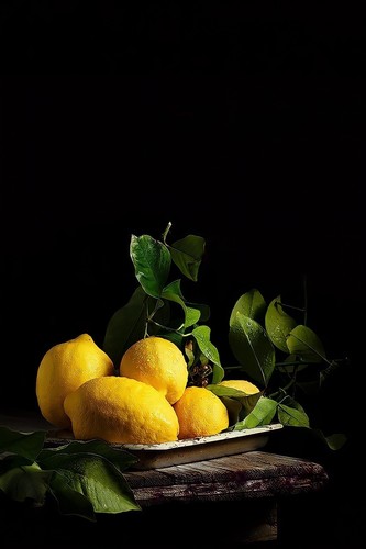 Dipinti olio tela su - tela,