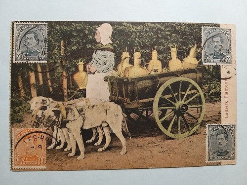 Belgio laitière flamande - -,
