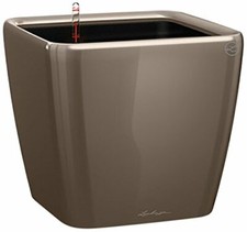 Lechuza Set completo Vaso