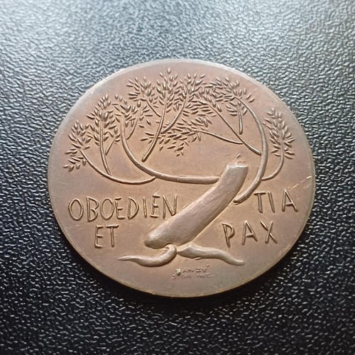 Medaglia bronzo vaticano - in,