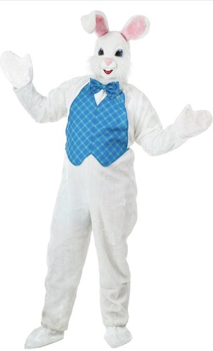 Costume animale coniglietto