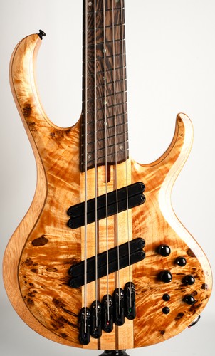 Ibanez btb805ms fnl florid - btb805ms-fnl,