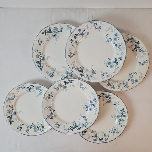 Assiettes plates service - plates,