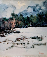LA MIA NEVE. di Dino PASQUERO  dipinto a olio 40x50  