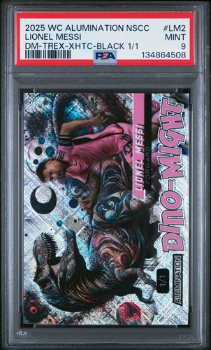 2025 wild card alluminazione - 2025,