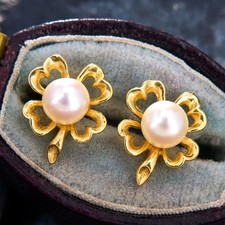 Eleganti orecchini in argento