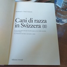 CANI DI RAZZA IN SVIZZERA  II - SCHMUTZ - ED AVANTI