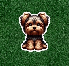 Cute Yorkshire Terrier yorkie