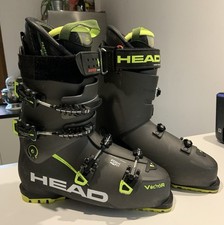 Scarponi Sci Head Vector