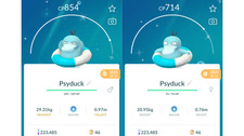 🦆Shiny Psyduck (Schillernd