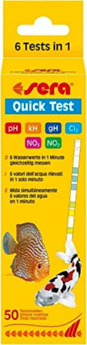 Sera controllo rapido - rapido, di