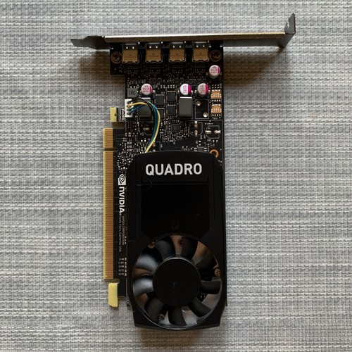 Nvidia quadro p1000 - quadro,