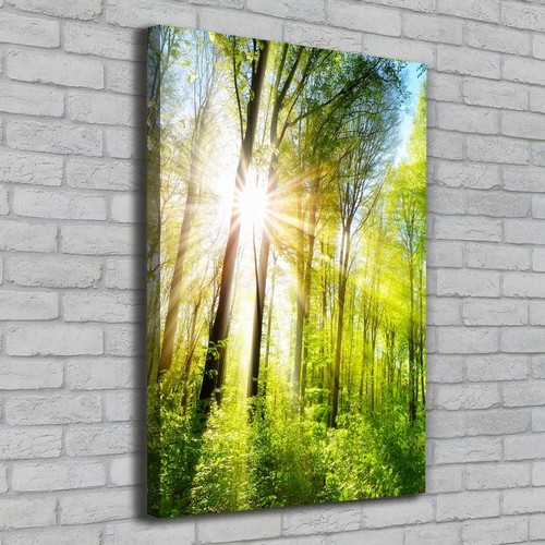 Stampa tela tulup wall art - tulup,