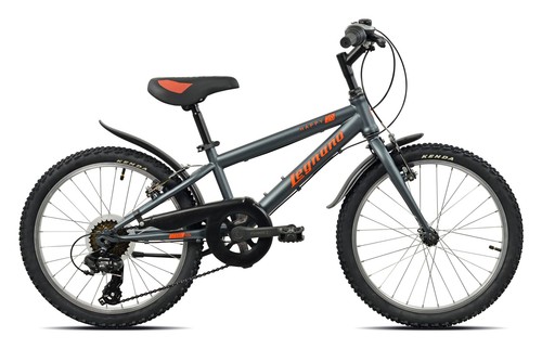 Legnano mountain bike acciaio - mountain,