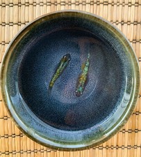 Medaka Sapphire Coppia - 5