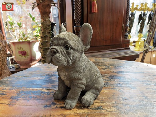 Sitting blue french bulldog - blue,