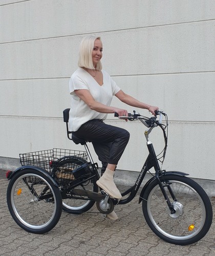 Bicicletta elettrica damon - elettrica,