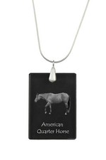 Quarter Horse Americano -