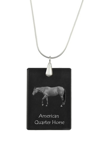 Quarter horse americano - horse,