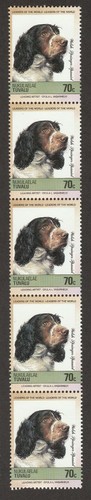Welsh springer spaniel - welsh,