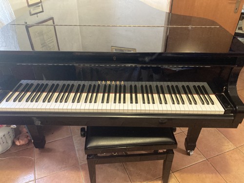 Pianoforte coda - a,