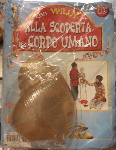 Alla scoperta del corpo - , umano