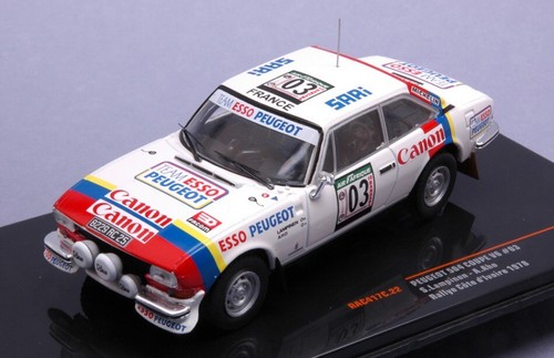 Modellino auto rally scala