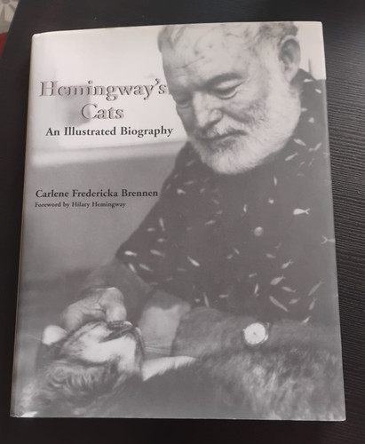 Hemingway cats illustrated - hemingway's,