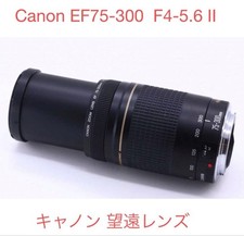 Canon EF 75-300 F4-5.6 II USM