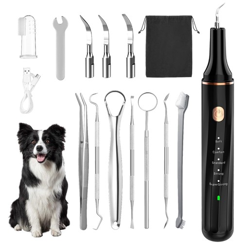Kit pulizia denti cane 1 - pulizia,