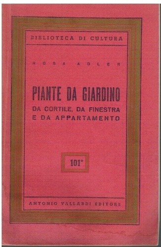 Piante giardino cortile - giardino,