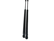Tailgate shock absorber for