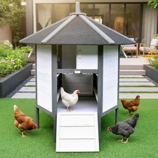 Pollaio pollaio per piccoli