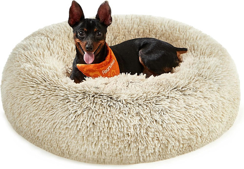 Cuccia cane interno - cuccia, interno,