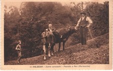 Valsesia - Pascolo a Peir (