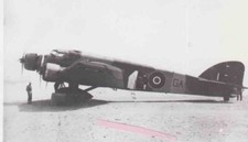 FOTO D'EPOCA 2 GUERRA Regia