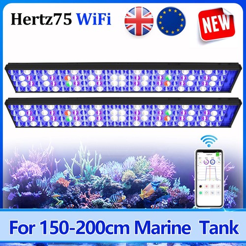 Popbloom h75 led illuminazione - popbloom,