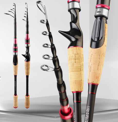 Canne pesca carbonio - canne,