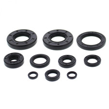 KIT PARAOLI MOTORE VERTEX