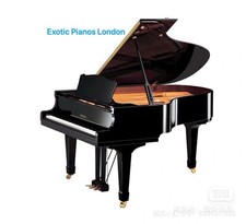 Yamaha Disklavier Pianoforte