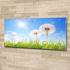 Quadro arte da parete stampa
