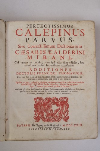 Calepinus ambrosius - calepinus,