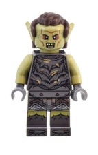LEGO Minifigure LOTR Signore