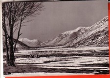 CARTOLINA  PIEDIMONTE D'ALIFE