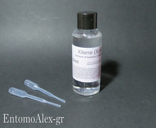 Xilene 50ml - xilene, xilolo