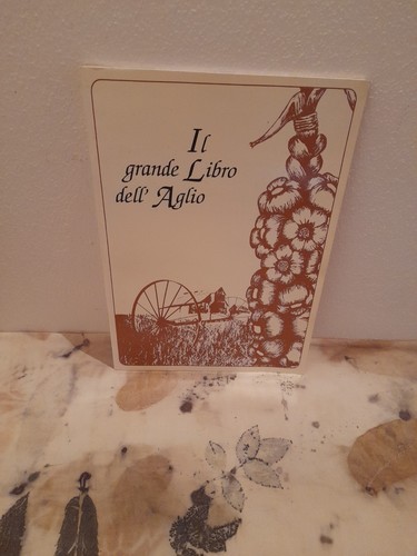 Emily thacker grande libro - grande,