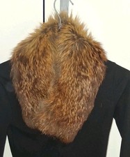 Collo di volpe in vera