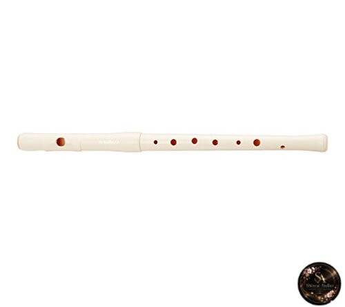 Registratore yamaha fife - registratore,